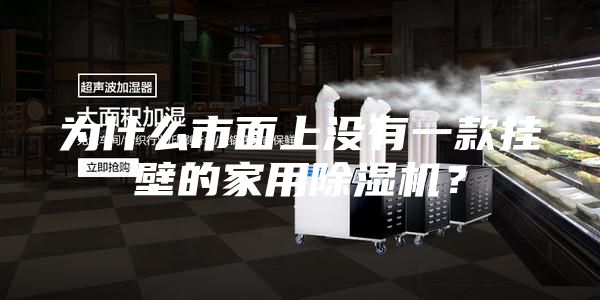 为什么市面上没有一款挂壁的家用除湿机？