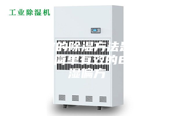 最有效的除湿方法是什么 牢记简单有效的8个除湿偏方