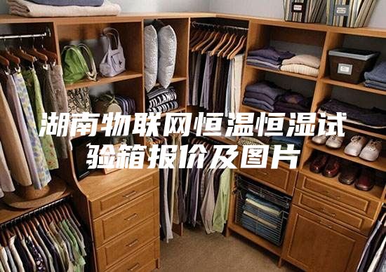 湖南物联网恒温恒湿试验箱报价及图片