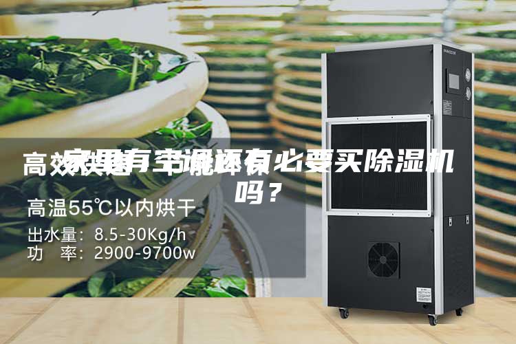 家里有空调还有必要买除湿机吗？