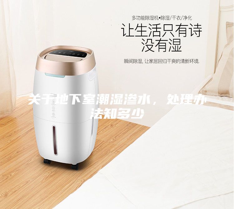 关于地下室潮湿渗水，处理办法知多少
