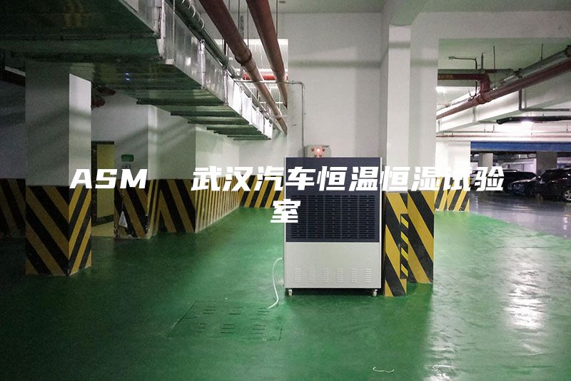 ASM  武汉汽车恒温恒湿试验室