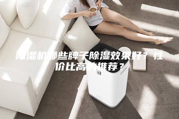 除湿机哪些牌子除湿效果好？性价比高的推荐？