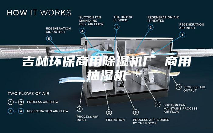 吉林环保商用除湿机厂 商用抽湿机