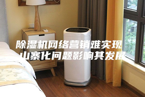 除湿机网络营销难实现 山寨化问题影响其发展