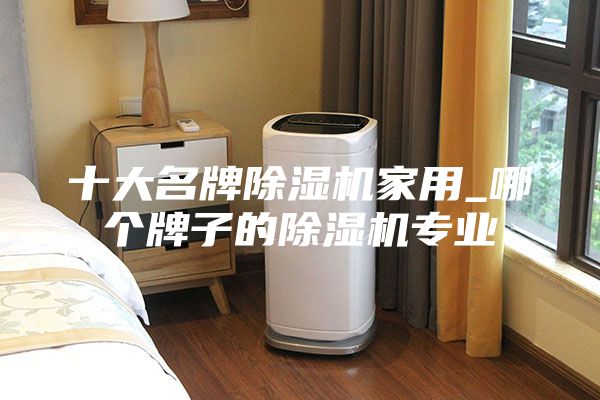 十大名牌除湿机家用_哪个牌子的除湿机专业