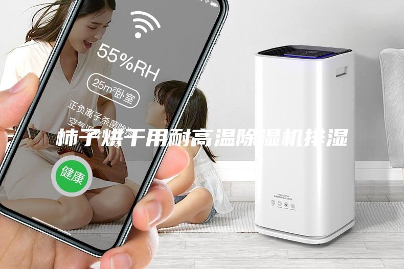 柿子烘干用耐高温除湿机排湿