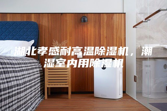 湖北孝感耐高温除湿机，潮湿室内用除湿机