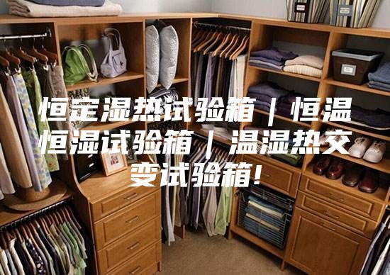 恒定湿热试验箱｜恒温恒湿试验箱｜温湿热交变试验箱!