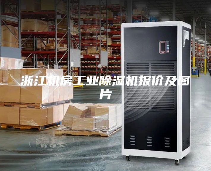 浙江机房工业除湿机报价及图片