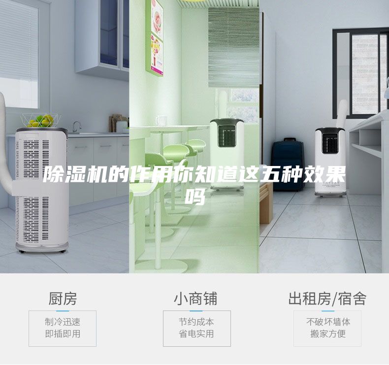 除湿机的作用你知道这五种效果吗