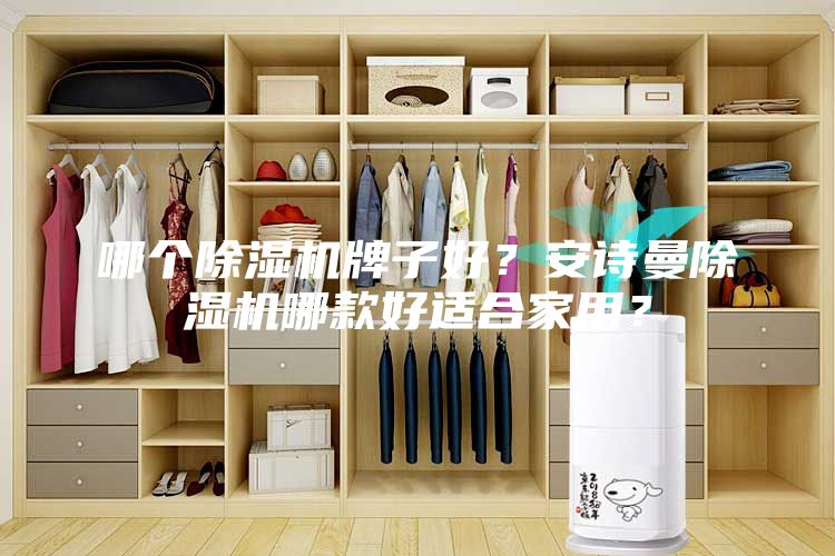 哪个除湿机牌子好？安诗曼除湿机哪款好适合家用？