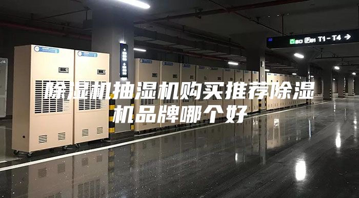 除湿机抽湿机购买推荐除湿机品牌哪个好