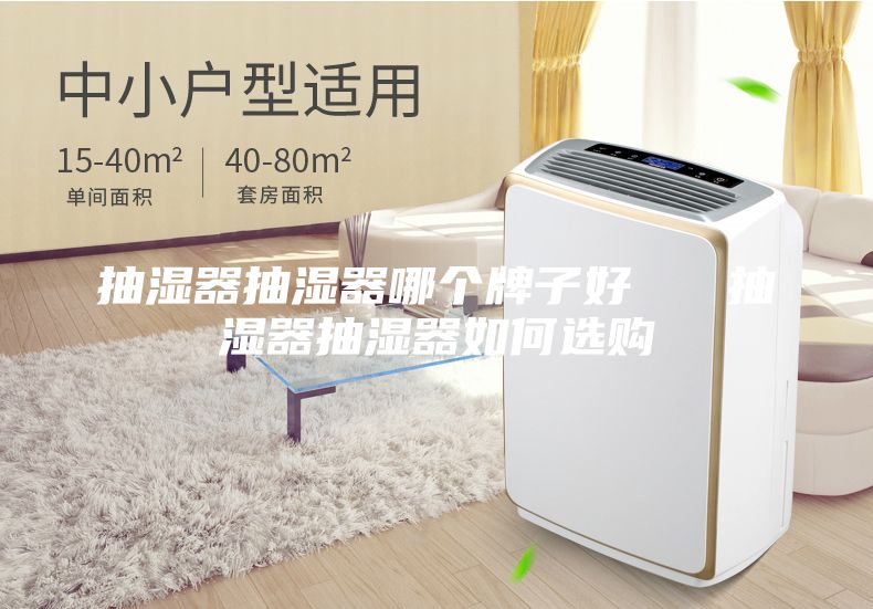 抽湿器抽湿器哪个牌子好   抽湿器抽湿器如何选购