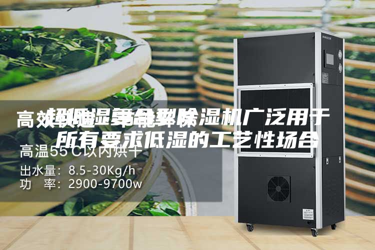 超低湿复合型除湿机广泛用于所有要求低湿的工艺性场合