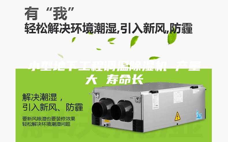 小型地下工程调温除湿机 产量大 寿命长