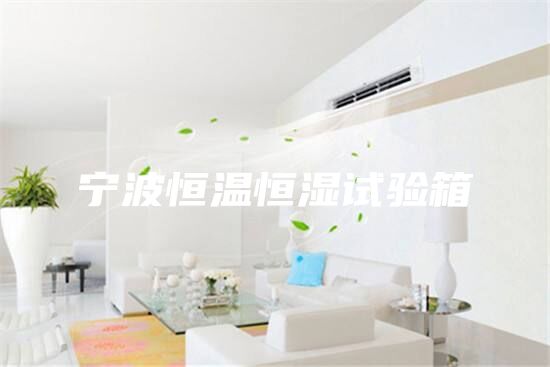 宁波恒温恒湿试验箱