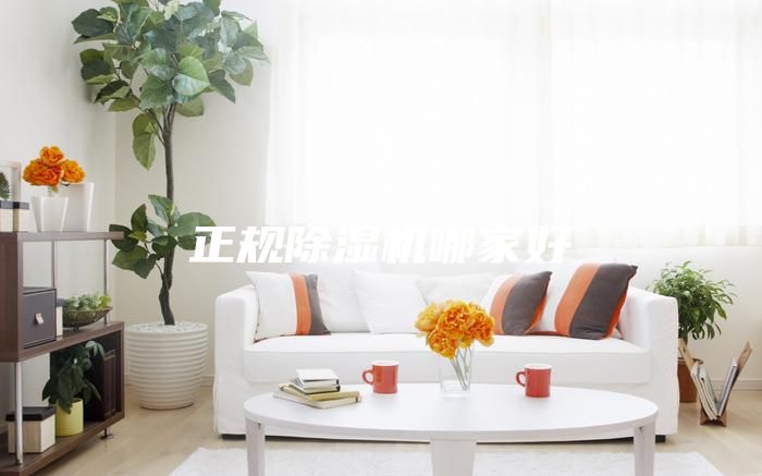 正规除湿机哪家好