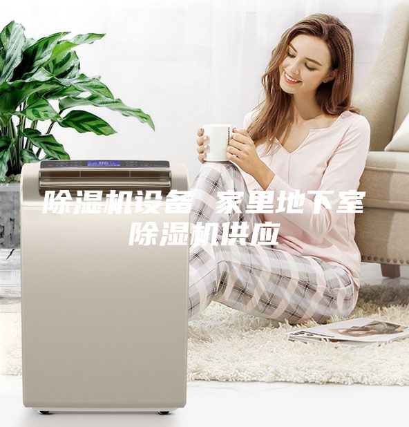 除湿机设备 家里地下室除湿机供应