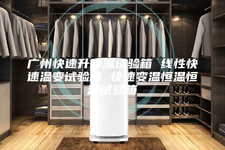 广州快速升降温试验箱 线性快速温变试验箱 快速变温恒温恒湿试验箱