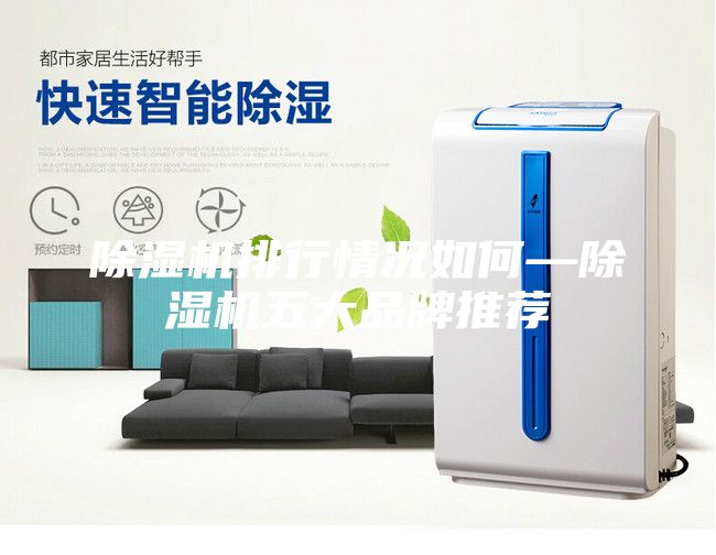 除湿机排行情况如何—除湿机五大品牌推荐