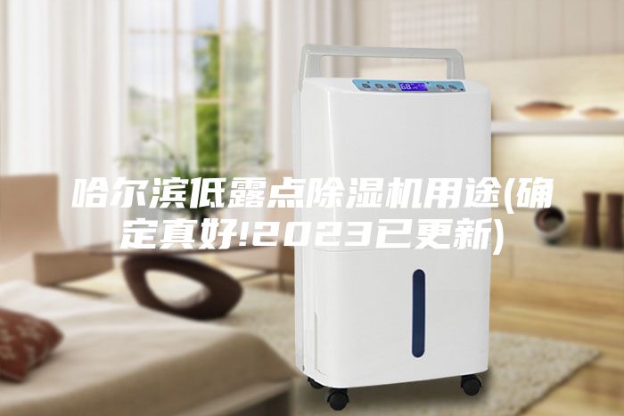哈尔滨低露点除湿机用途(确定真好!2023已更新)