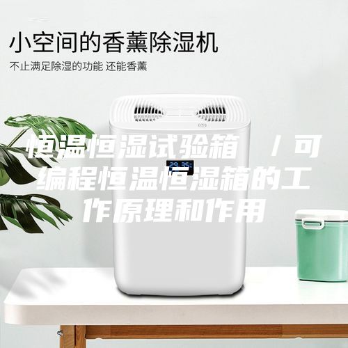 恒温恒湿试验箱 ／可编程恒温恒湿箱的工作原理和作用
