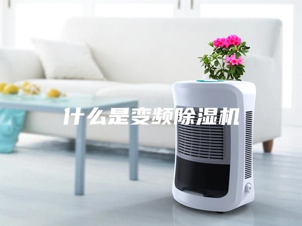 什么是变频除湿机