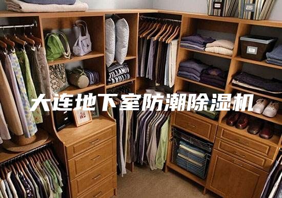 大连地下室防潮除湿机