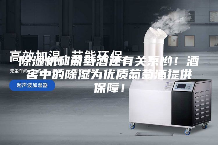 除湿机和葡萄酒还有关系哟！酒窖中的除湿为优质葡萄酒提供保障！