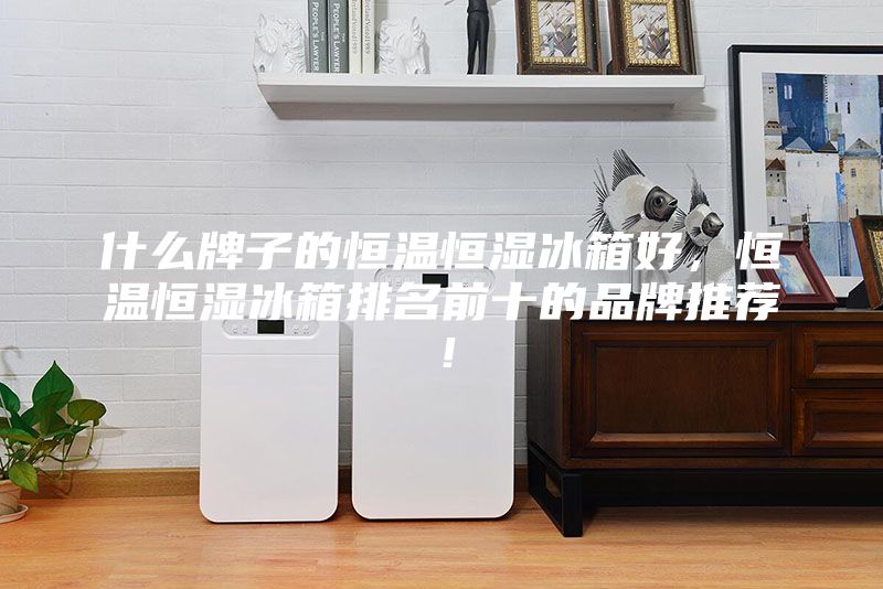 什么牌子的恒温恒湿冰箱好，恒温恒湿冰箱排名前十的品牌推荐！