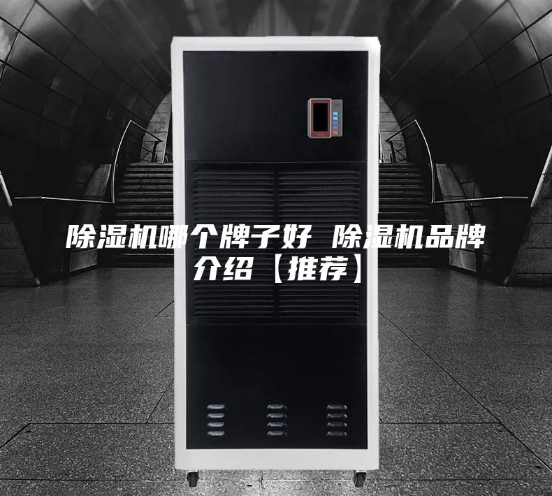 除湿机哪个牌子好 除湿机品牌介绍【推荐】