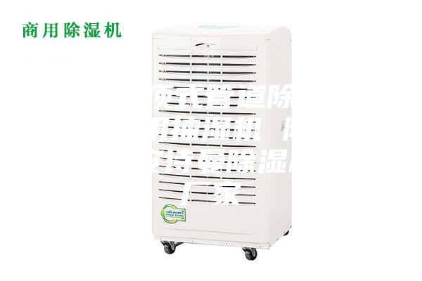 武汉吊顶式管道除湿机，游泳馆用抽湿机 除湿防潮设备安诗曼除湿机生产厂家