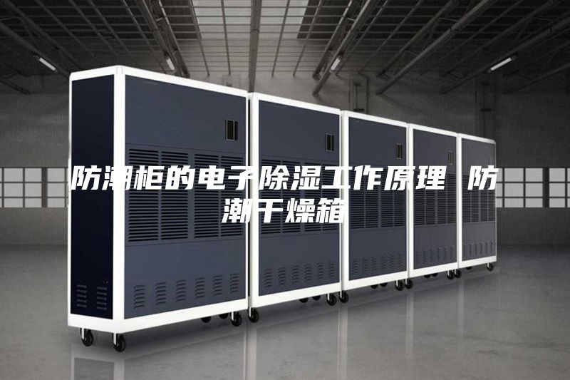 防潮柜的电子除湿工作原理 防潮干燥箱