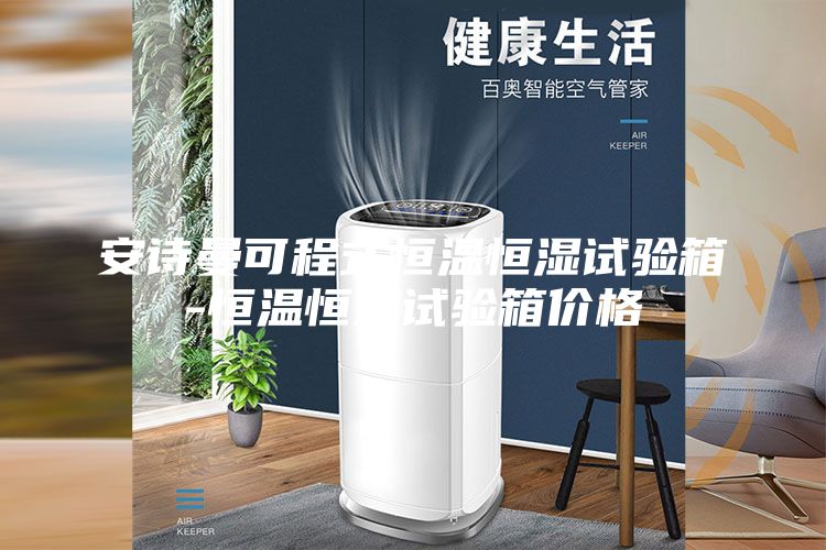 安诗曼可程式恒温恒湿试验箱-恒温恒湿试验箱价格