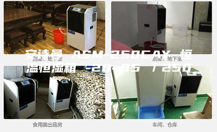 安诗曼 ASM-250CAY 恒温恒湿箱 -20~85℃／250L