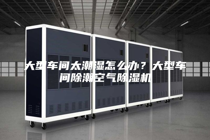 大型车间太潮湿怎么办？大型车间除潮空气除湿机