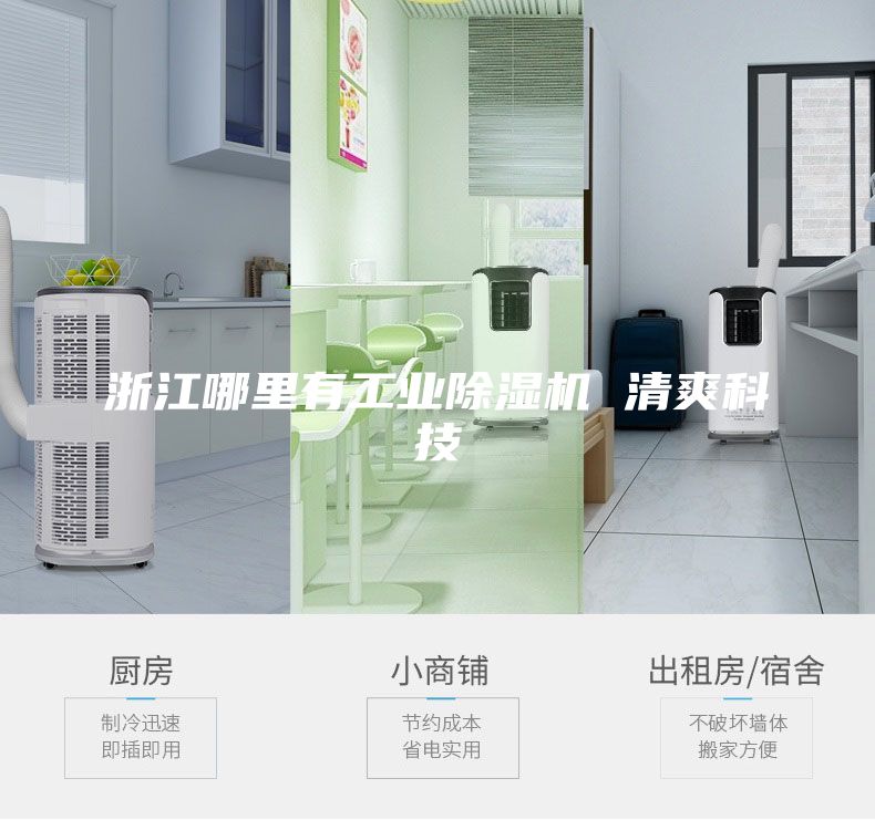 浙江哪里有工业除湿机 清爽科技