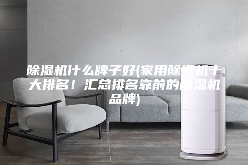 除湿机什么牌子好(家用除湿机十大排名！汇总排名靠前的除湿机品牌)