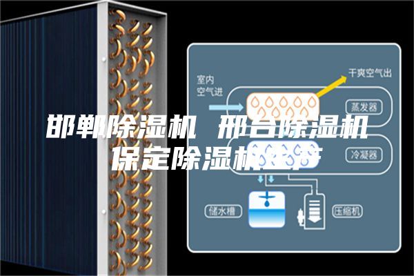邯郸除湿机 邢台除湿机 保定除湿机生产
