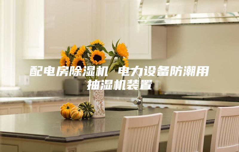 配电房除湿机 电力设备防潮用抽湿机装置