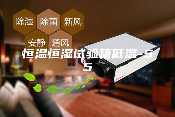 恒温恒湿试验箱低温-55℃
