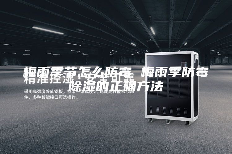 梅雨季节怎么防霉 梅雨季防霉除湿的正确方法