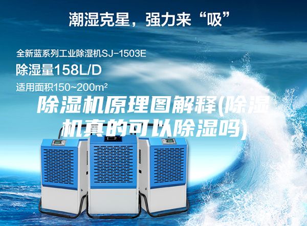 除湿机原理图解释(除湿机真的可以除湿吗)