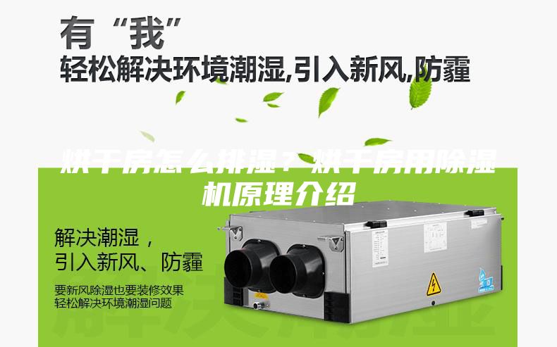 烘干房怎么排湿？烘干房用除湿机原理介绍
