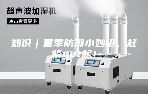 知识｜夏季防潮小妙招，赶紧get起！