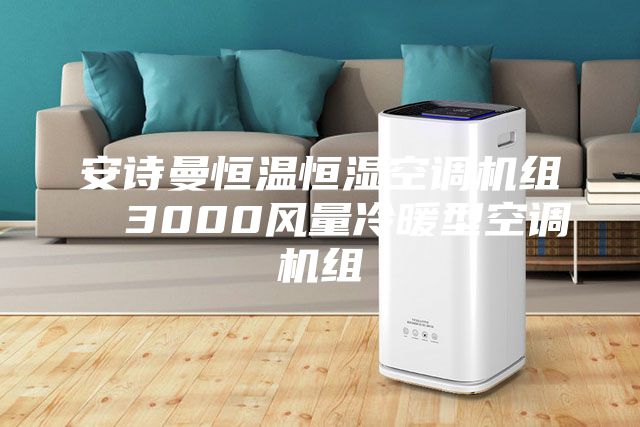 安诗曼恒温恒湿空调机组  3000风量冷暖型空调机组