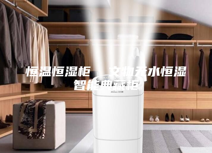 恒温恒湿柜  文物无水恒湿智能典藏柜