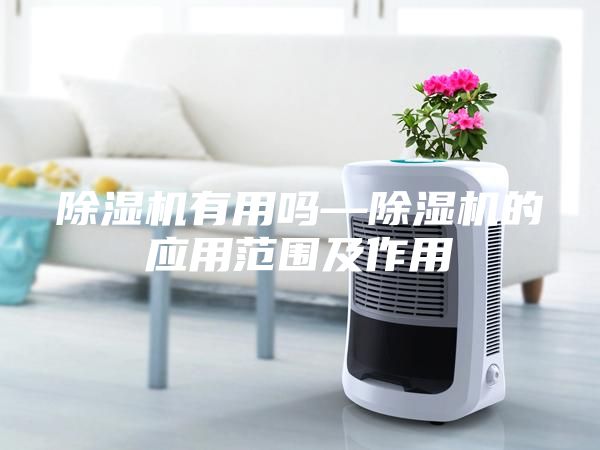 除湿机有用吗—除湿机的应用范围及作用