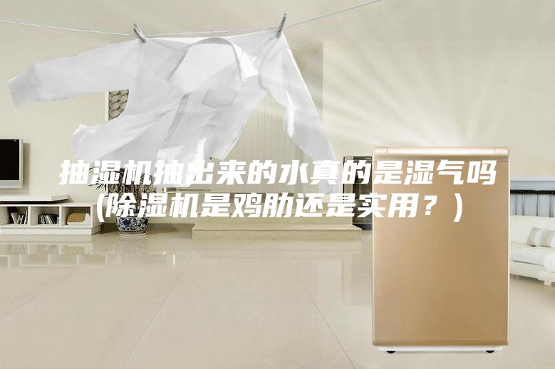 抽湿机抽出来的水真的是湿气吗(除湿机是鸡肋还是实用？)